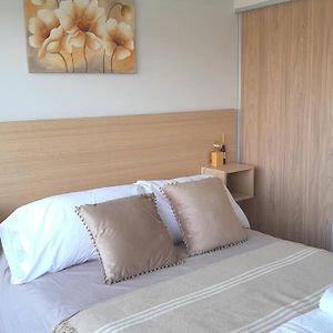 Magnolias Premium